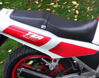 1988 Yamaha TZR250